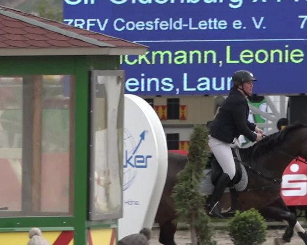 Reitturnier Werne-Lenklar 2019