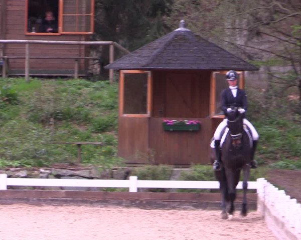 Reitturnier Mettmann - Reitanlage Löckenhoff 2019