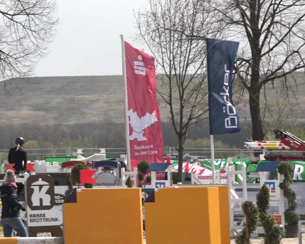 Reitturnier Werne-Lenklar 2019