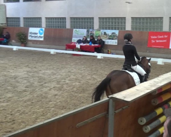 Reitturnier Leverkusen-Rheindorf 2019