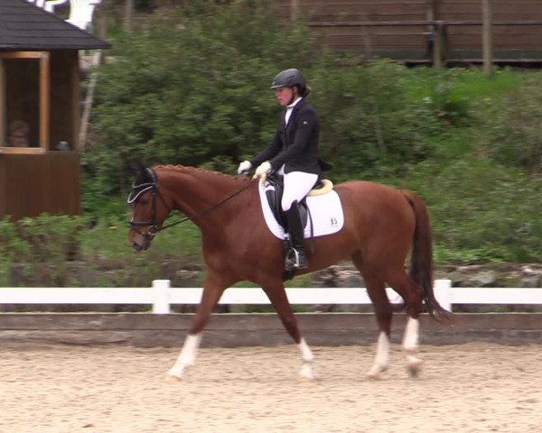 Reitturnier Mettmann - Reitanlage Löckenhoff 2019