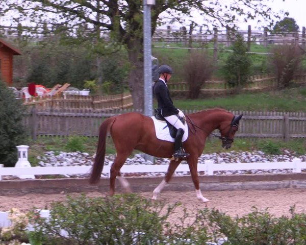 Reitturnier Mettmann - Reitanlage Löckenhoff 2019