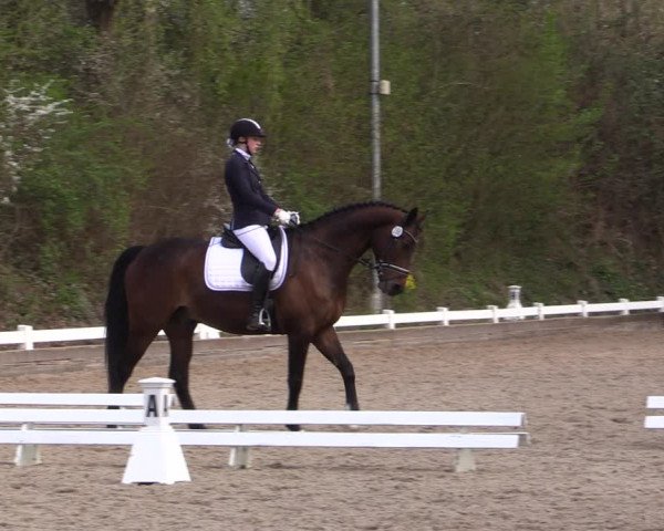 Reitturnier Mettmann - Reitanlage Löckenhoff 2019