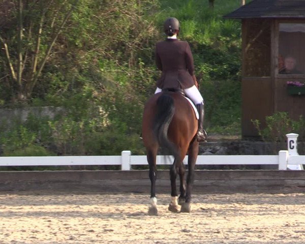 Reitturnier Mettmann - Reitanlage Löckenhoff 2019