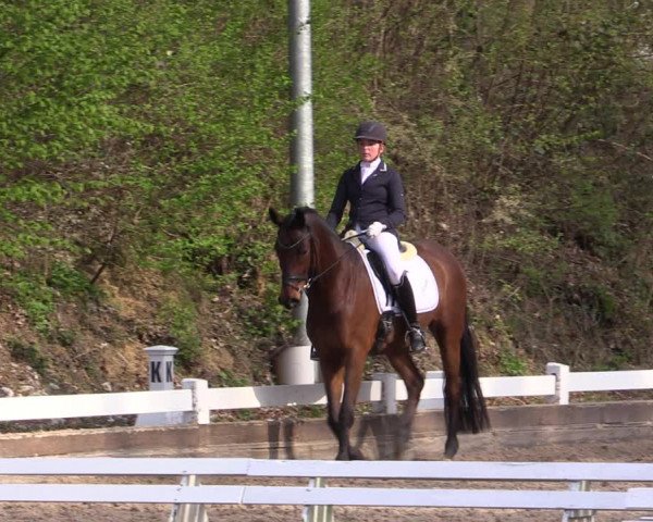 Reitturnier Mettmann - Reitanlage Löckenhoff 2019