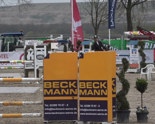 Reitturnier Werne-Lenklar 2019