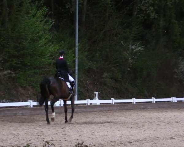 Reitturnier Mettmann - Reitanlage Löckenhoff 2019