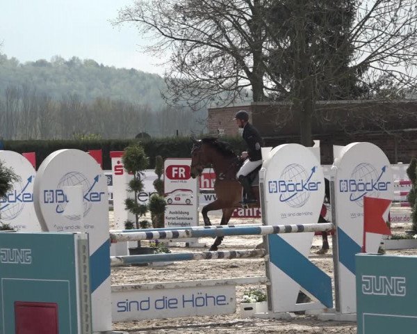Reitturnier Werne-Lenklar 2019
