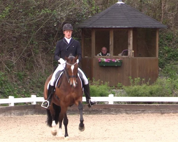 Reitturnier Mettmann - Reitanlage Löckenhoff 2019