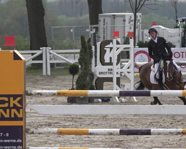 Reitturnier Werne-Lenklar 2019