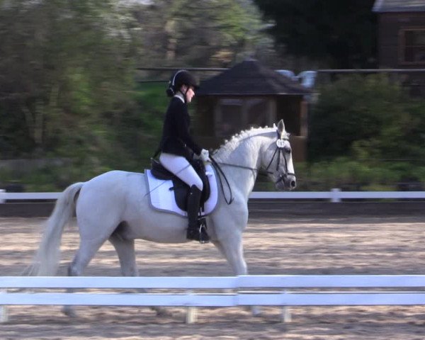 Reitturnier Mettmann - Reitanlage Löckenhoff 2019