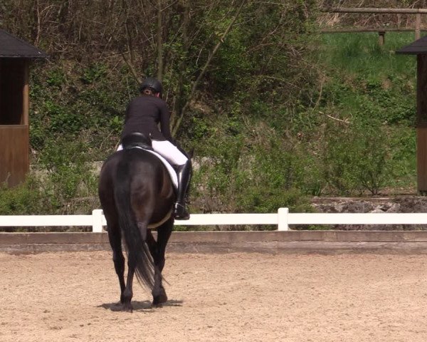 Reitturnier Mettmann - Reitanlage Löckenhoff 2019