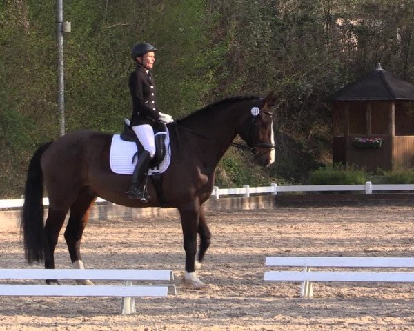Reitturnier Mettmann - Reitanlage Löckenhoff 2019