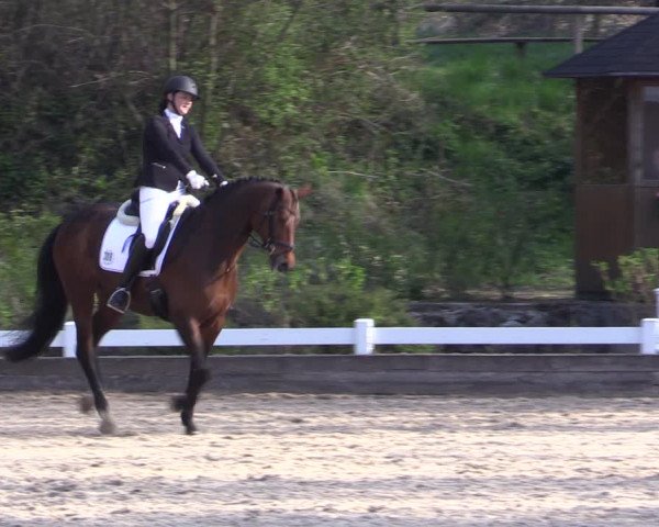 Reitturnier Mettmann - Reitanlage Löckenhoff 2019