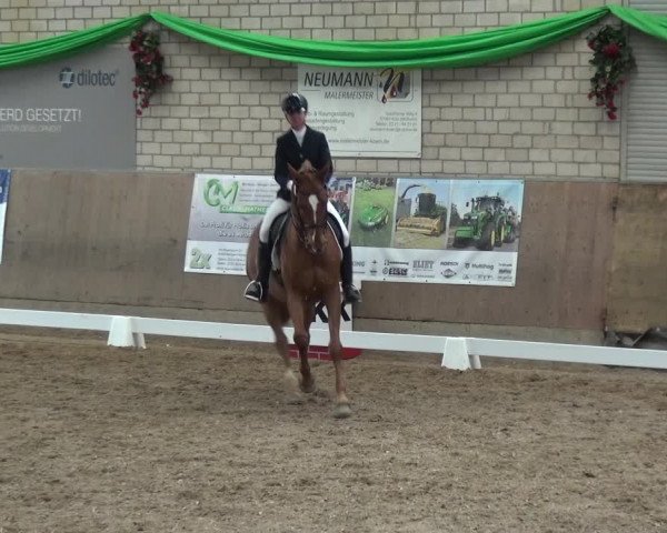 Reitturnier Leverkusen-Rheindorf 2019