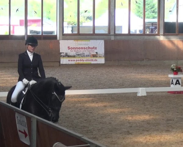 Reitturnier Leverkusen-Rheindorf 2019