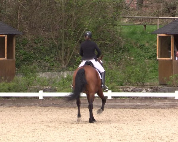 Reitturnier Mettmann - Reitanlage Löckenhoff 2019