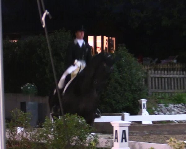 Reitturnier Mettmann - Reitanlage Löckenhoff 2019
