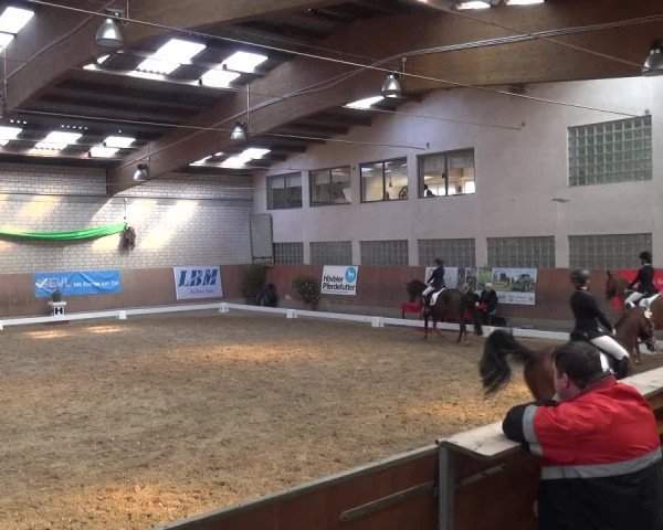 Reitturnier Leverkusen-Rheindorf 2019