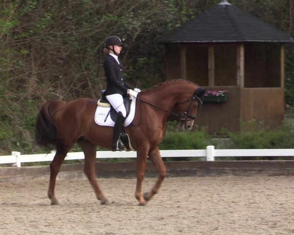 Reitturnier Mettmann - Reitanlage Löckenhoff 2019