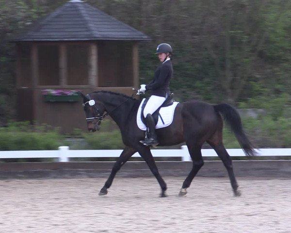 Reitturnier Mettmann - Reitanlage Löckenhoff 2019