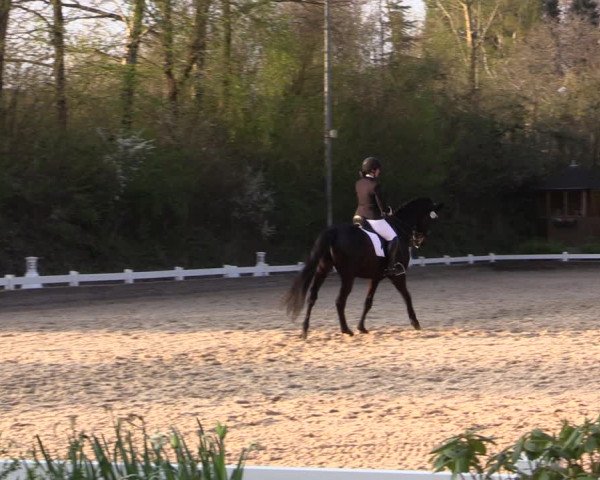 Reitturnier Mettmann - Reitanlage Löckenhoff 2019