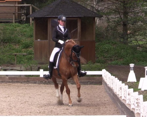 Reitturnier Mettmann - Reitanlage Löckenhoff 2019