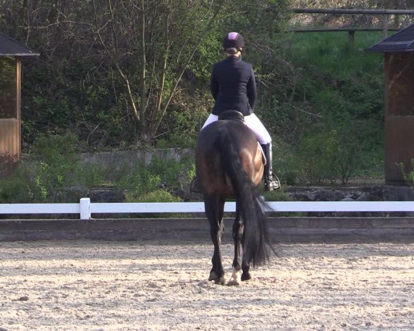 Reitturnier Mettmann - Reitanlage Löckenhoff 2019