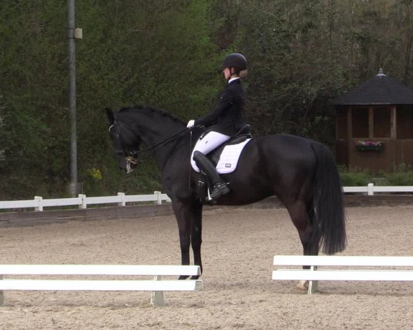 Reitturnier Mettmann - Reitanlage Löckenhoff 2019