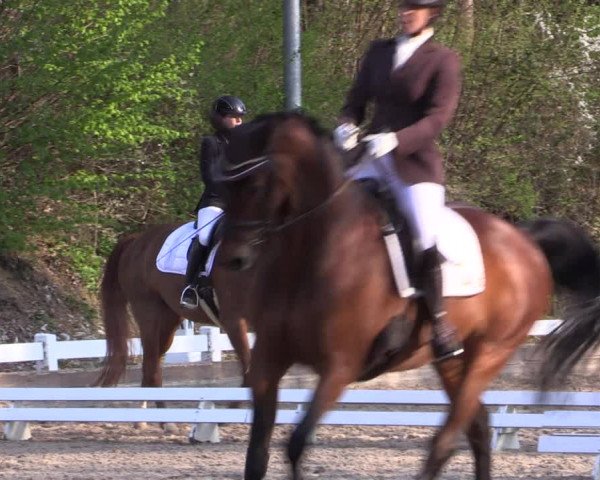 Reitturnier Mettmann - Reitanlage Löckenhoff 2019