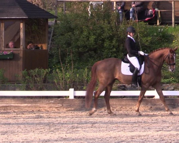 Reitturnier Mettmann - Reitanlage Löckenhoff 2019