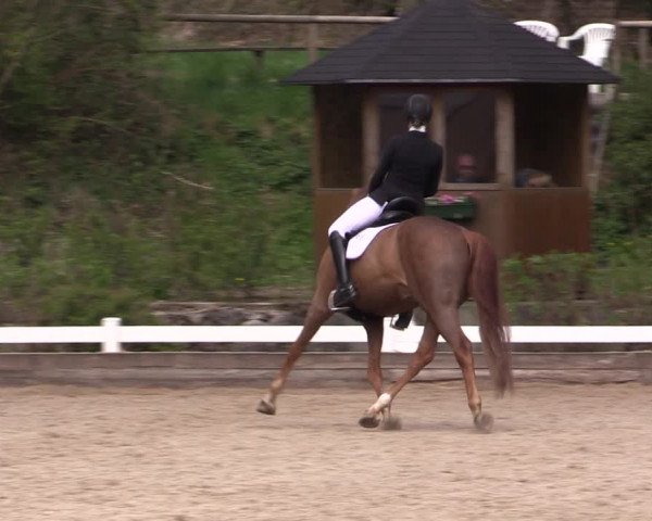Reitturnier Mettmann - Reitanlage Löckenhoff 2019