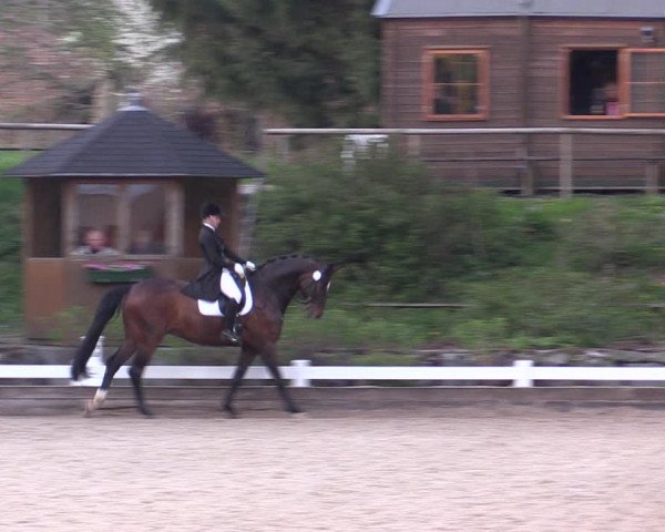 Reitturnier Mettmann - Reitanlage Löckenhoff 2019