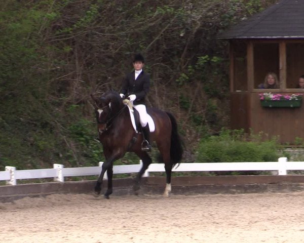 Reitturnier Mettmann - Reitanlage Löckenhoff 2019