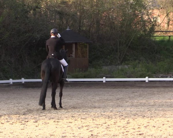 Reitturnier Mettmann - Reitanlage Löckenhoff 2019