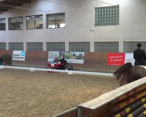 Reitturnier Leverkusen-Rheindorf 2019