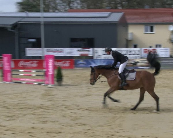 Reitturnier Schloß Holte 2019
