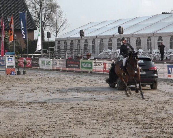 Reitturnier Werne-Lenklar 2019