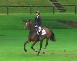 jumper Betina D'Eglefin (Selle Français, 2011, from Sire Jag de Courthoe)