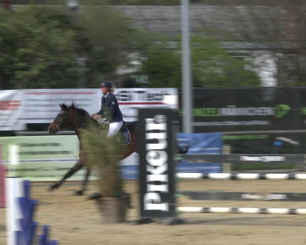 Reitturnier Schloß Holte 2019