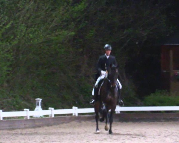 Reitturnier Mettmann - Reitanlage Löckenhoff 2019