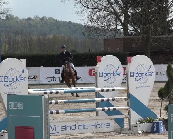 Reitturnier Werne-Lenklar 2019