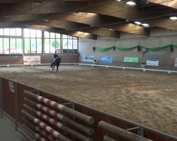 Reitturnier Leverkusen-Rheindorf 2019