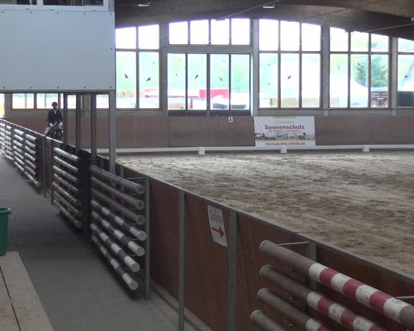 Reitturnier Leverkusen-Rheindorf 2019