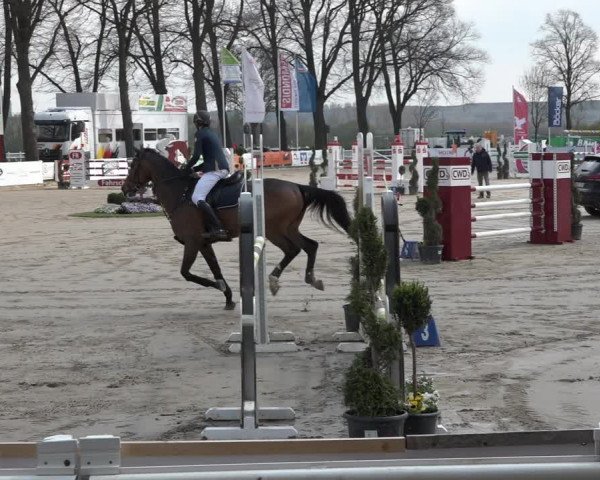 Reitturnier Werne-Lenklar 2019