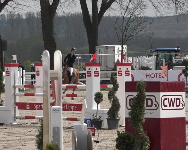 Reitturnier Werne-Lenklar 2019