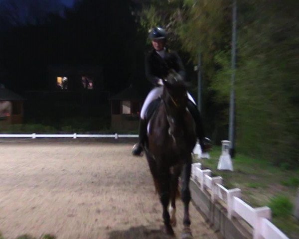 Reitturnier Mettmann - Reitanlage Löckenhoff 2019