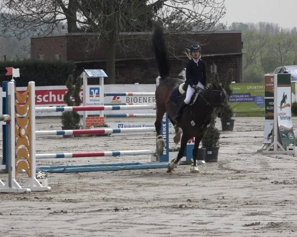 Reitturnier Werne-Lenklar 2019