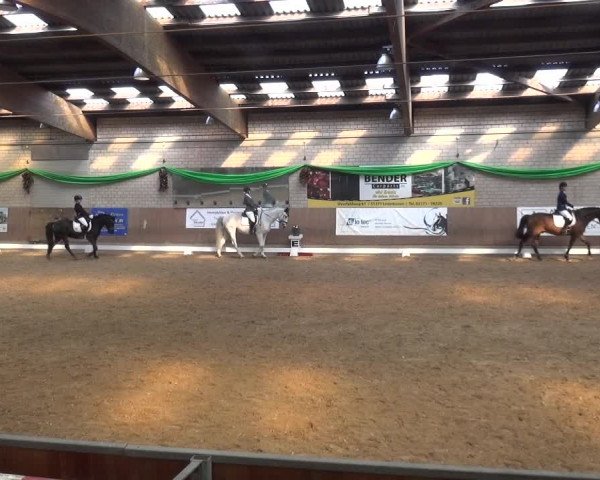 Reitturnier Leverkusen-Rheindorf 2019