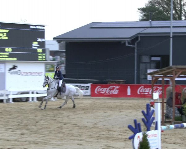 Reitturnier Schloß Holte 2019